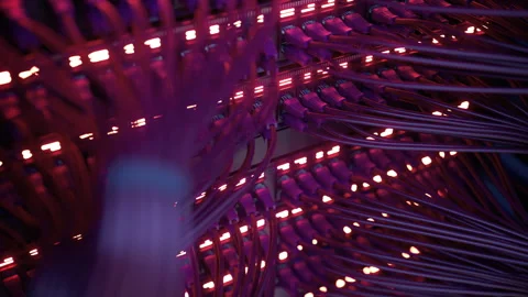 Modern Internet Network Switch With Plugged Ethernet Cables Stock Footage 266220996
