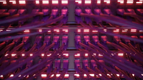 Modern Internet Network Switch With Plugged Ethernet Cables Stock Footage 266417156