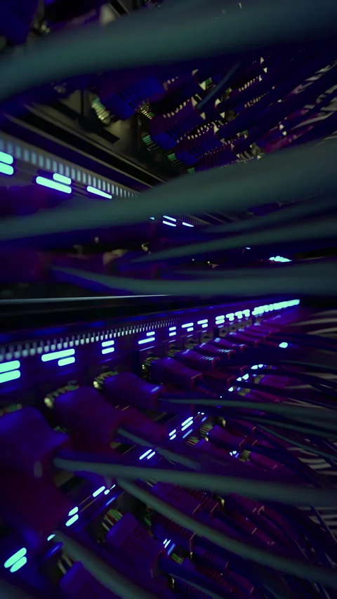 Modern Internet Network Switch With Plugged Ethernet Cables Stock Footage 266841514