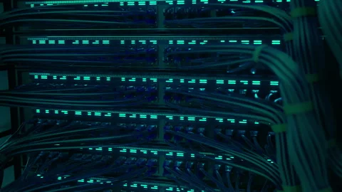 Modern Internet Network Switch With Plugged Ethernet Cables Stock Footage 269951685