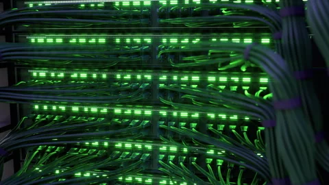 Modern Internet Network Switch With Plugged Ethernet Cables Stock Footage 270046957
