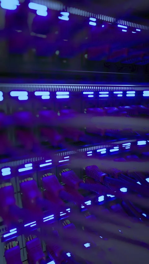 Modern Internet Network Switch With Plugged Ethernet Cables Stock Footage 270047538