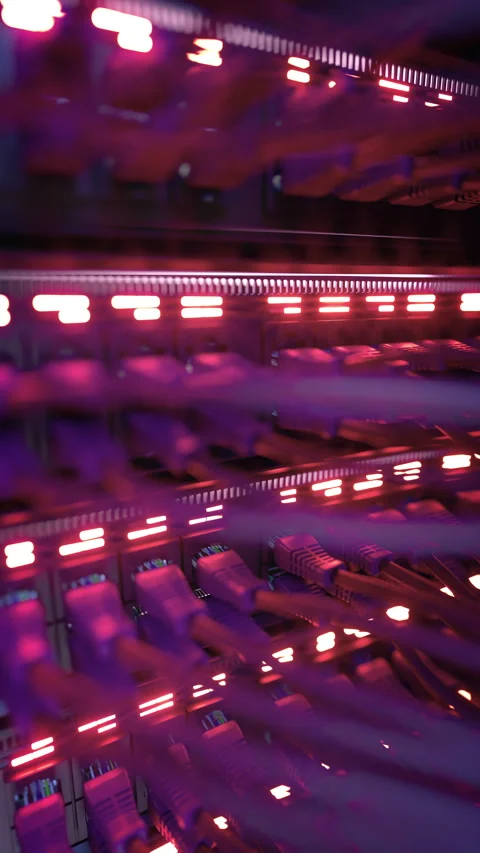 Modern Internet Network Switch With Plugged Ethernet Cables Stock Footage 270491844