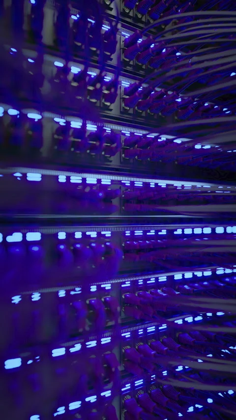 Modern Internet Network Switch With Plugged Ethernet Cables Stock Footage 270492018