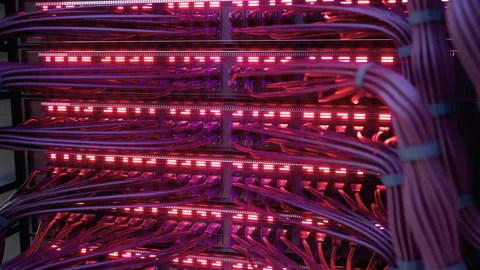 Modern Internet Network Switch With Plugged Ethernet Cables Stock Footage 270492248