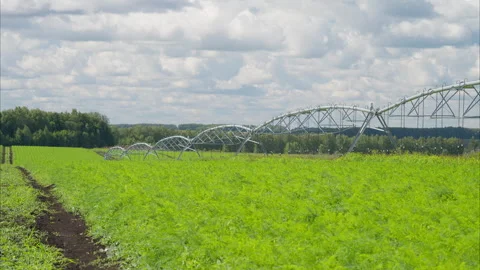 The Modern Irrigation System Functions Effectively in Beautiful Lush Green Field Stockbeeldmateriaal 316664229