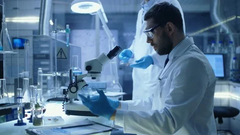 In a Modern Laboratory Assistant Brings Petri Dish to Chief Research Scientist Stock Footage 75446826