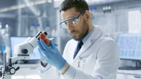 In a Modern Laboratory Food Scientist Injects Strawberry with a Syringe.  Stock Footage