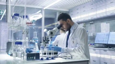 In a Modern Laboratory Research Scientist Adjusts Sample in a Petri Dish  Video stock 75413662