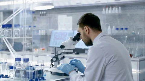 In a Modern Laboratory Research Scientist Adjusts Sample in a Petri Dish  Video stock 75444794
