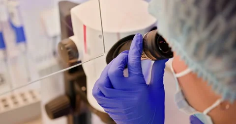 Modern Laboratory with Technological Equipment. In Bright Medical Science Stock Footage 276422590