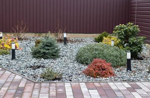 Modern landscape design in a backyard featuring ornamental conifers Stock Photos