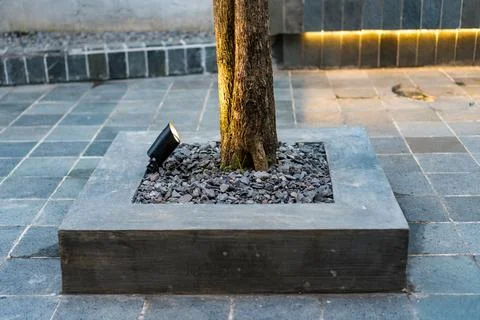 Modern Landscape Lighting on Tree Base Stock Photos
