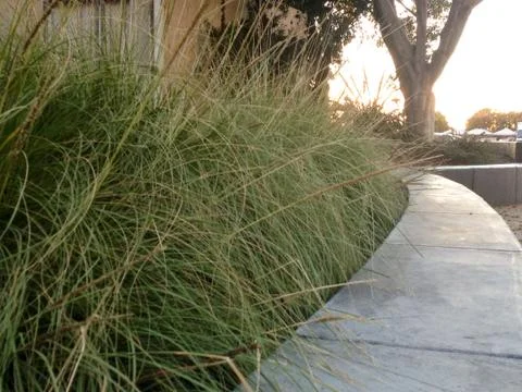 Modern landscaping design Stock Photos