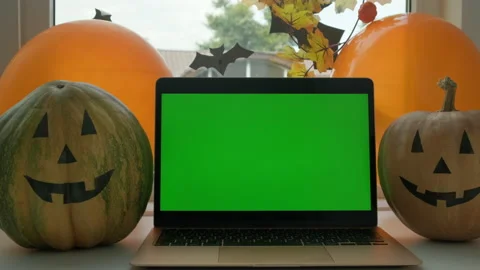Modern laptop with green screen mockup with chroma key stands on the table in Stock Footage 162017285