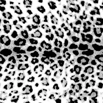 Modern leopard skin for print pattern black and white Stock Illustration