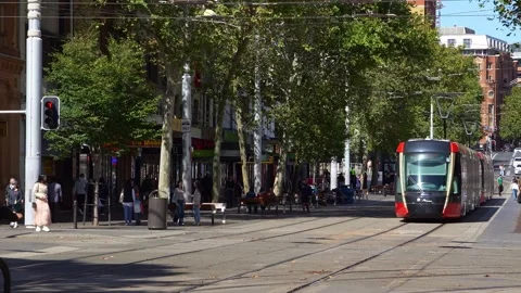 A modern light rail tram moving along tree-lined George Street in the bustling Stock Footage 346255556