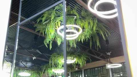 Modern Lighting and Greenery Decor Enhancing Contemporary Space for Stylish Stock Footage 316408632