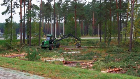 A modern logging machine fells trees and processes logs near a parking lot Stock Footage 316485350