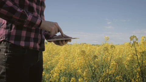 Modern male farmer with tablet computer in a field Video stock 108168465