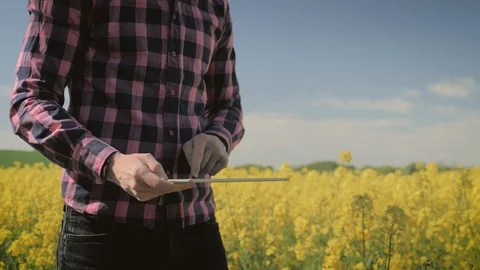 Modern male farmer with tablet computer in a field Stock Footage 108168541