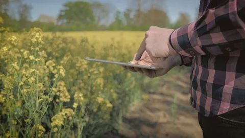 Modern male farmer with tablet computer in a field Video stock 108188093