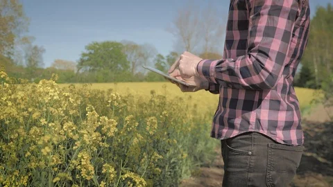 Modern male farmer with tablet computer in a field Video stock 108188148