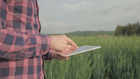 Modern male farmer with tablet computer in a field Video stock 108466624