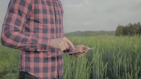 Modern male farmer with tablet computer in a field Video stock 108466682