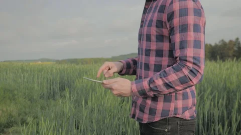 Modern male farmer with tablet computer in a field Video stock 108466743