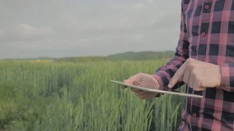 Modern male farmer with tablet computer in a field Stock Footage 108466802