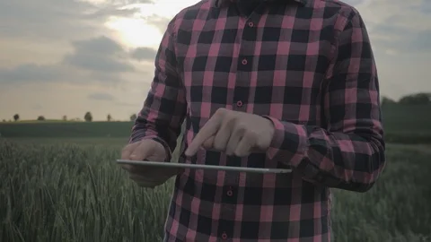 Modern male farmer with tablet computer in a field Video stock 108466920