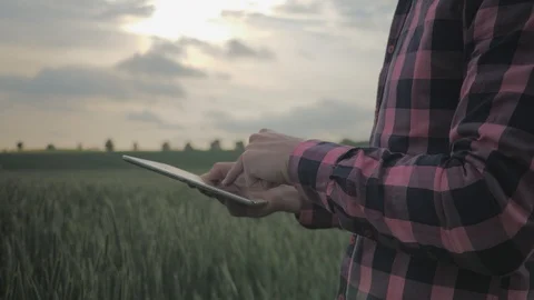 Modern male farmer with tablet computer in a field Video stock 108466973