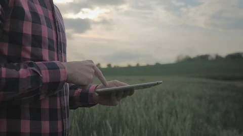 Modern male farmer with tablet computer in a field Video stock 108467000