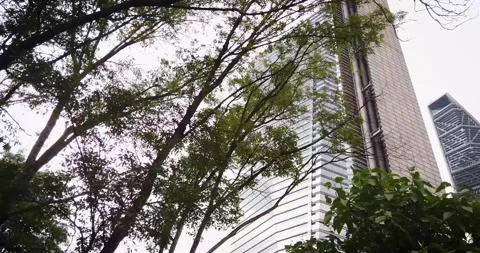 Modern Mexico City Skyscraper Framed by Urban Trees Under Cloudy Sky Stock Footage 342781462