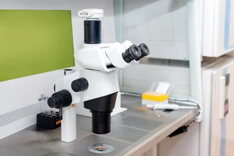 Modern microscope in biotech lab. Equipment in laboratory of Fertilization. Stock Photos