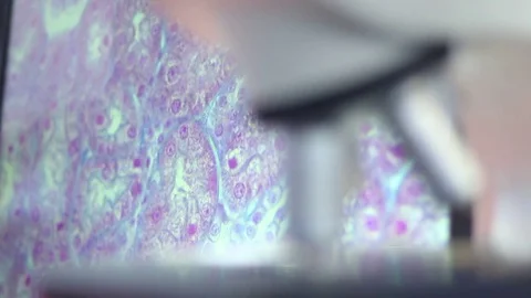 Modern microscope Stock Footage 73387478