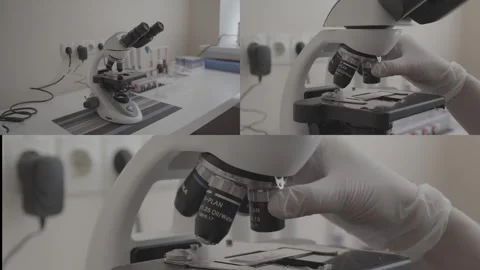 Modern microscope in the laboratory. Split Screen 스톡 동영상 255766961