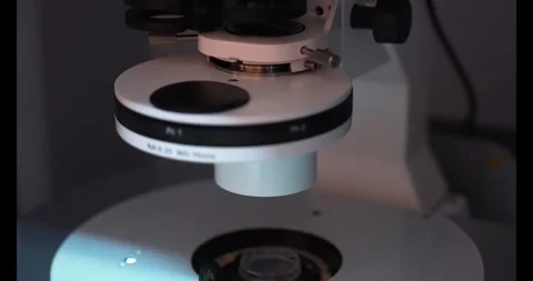 Modern microscope in a laboratory with test tubes Stock Footage 341732628