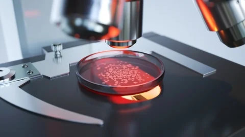 "A modern microscope in a sterile lab room analyzing samples on a petri dish Stock-Footage 98945463