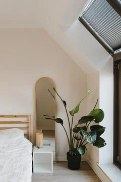 Modern minimal home interior design. Tropical palm tree, bed with white bed l Stock Photos
