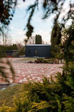 Modern modular cabin framed by conifer branches at dusk courtyard Stock Photos