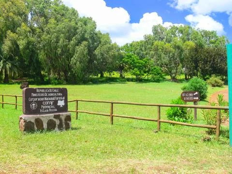 Modern monuments on Easter Island. Stock Photos