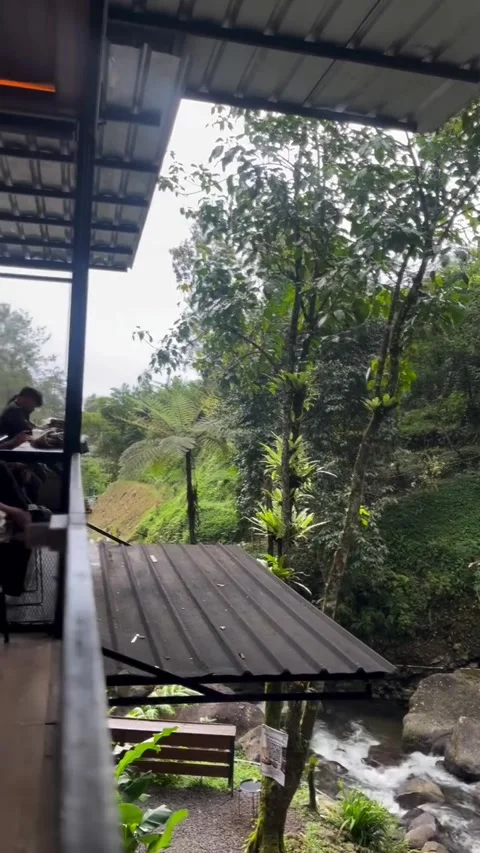Modern multi-level forest cafe with river view Stock-Footage 339882607