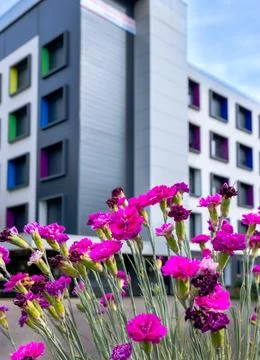 Modern multi story building with creative architecture and vibrant colorful.. Stock Photos