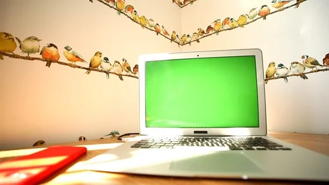 Modern notebook computer with blank chromakey monitor mockup display. Online bus 스톡 동영상 117369600
