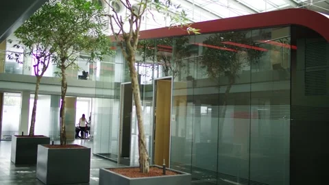 Modern Office Atrium with Indoor Tree, Glass Walls and Skylight, Wide Shot Видео 341533635