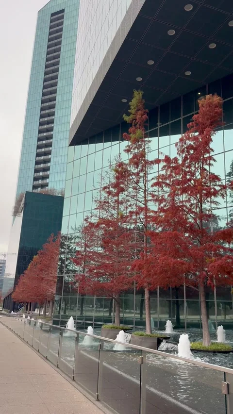 Modern Office Building with Autumn Trees and Fountains Stock Footage 344596548