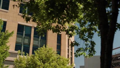 Modern Office Building Framed by Trees with Slow Glide Vidéo 337647462