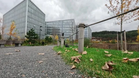 Modern office buildings next to a park in autumn Stock Footage 323523481